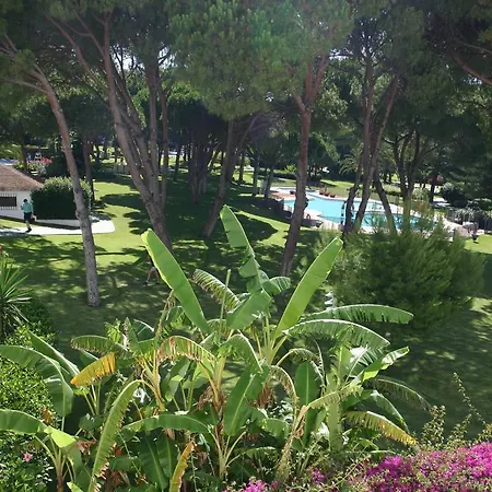 Sl Marbella